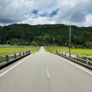 ststの画像