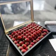 rの画像