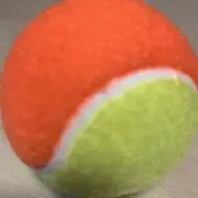 シンディーの画像