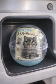 アイギス1030の画像