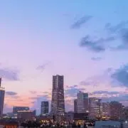 ゆうきの画像