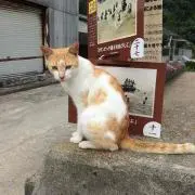 110032の画像