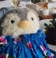 mammaの画像