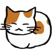 せなっちょの画像