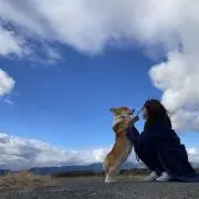 Yu Kohaの画像