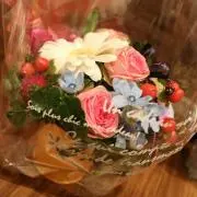 ぽよの画像