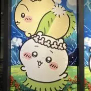 ぽんの画像