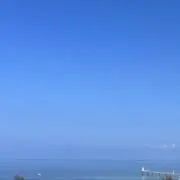 Rの画像