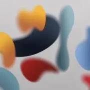 金剛寺の画像