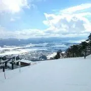 kon