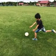 とれあの画像