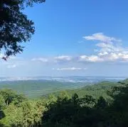 わかばの画像