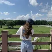モモロールの画像
