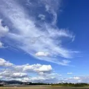 JAPANの画像