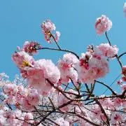 ゆき　プロフ必読の画像