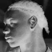 Young Sortieの画像