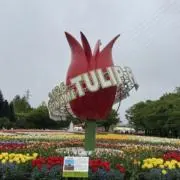 あんみの画像