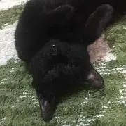 uioの画像