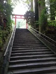 みずまよの画像