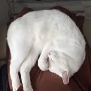 まち