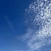 syu-yiの画像