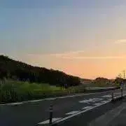 Mistyの画像