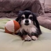 ゆーー