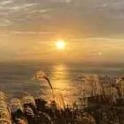 Hariqua リビアングラスペンダントチャーム星型装飾付き 18k - メルカリ