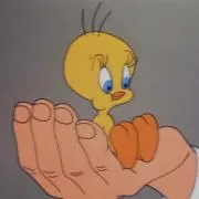 ポムの画像