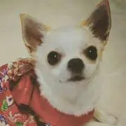 えりの画像