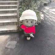 ゆかりんプロフィール参照お願いします