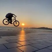 そーしん