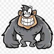 Donkeyの画像