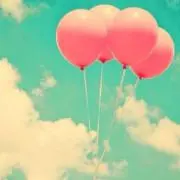 たぴたぴの画像