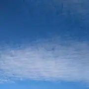 マドレーヌの画像