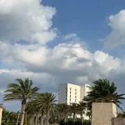 レイ