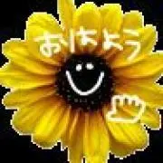 Image of Yy　おまとめ値引き(⁠^⁠^⁠)