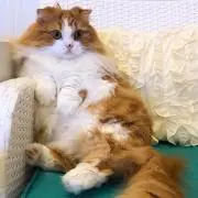 ♡ひろ♡の画像