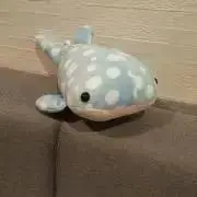 戎屋の画像