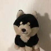 コリラックマの画像