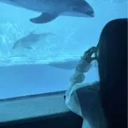 Kの画像