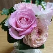 こまめ☆ ※プロフ必読の画像