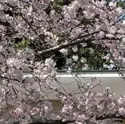 ののしの画像