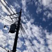 やじの画像