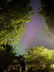 tの画像