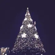 ゆったん
