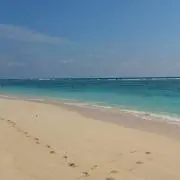 なーちゃん