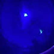 フォルの画像