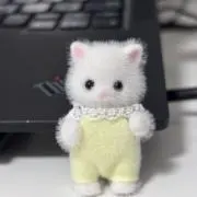 haruの画像