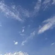 かなめの画像
